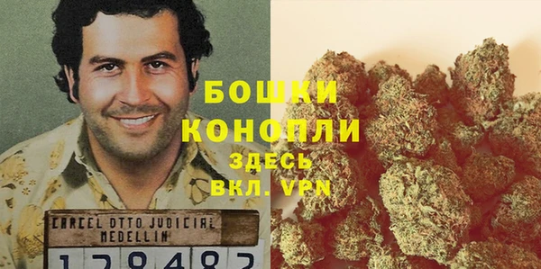 МДПВ Аркадак