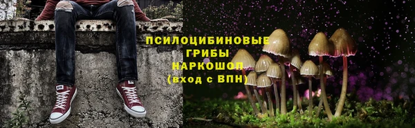 СК Армянск