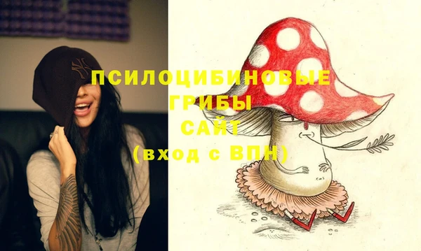 мескалин Арсеньев