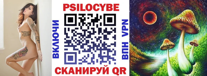 Галлюциногенные грибы Psilocybe  Обь 